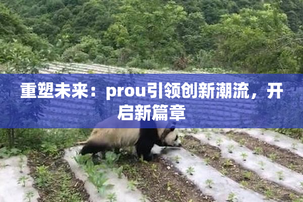 重塑未来：prou引领创新潮流，开启新篇章