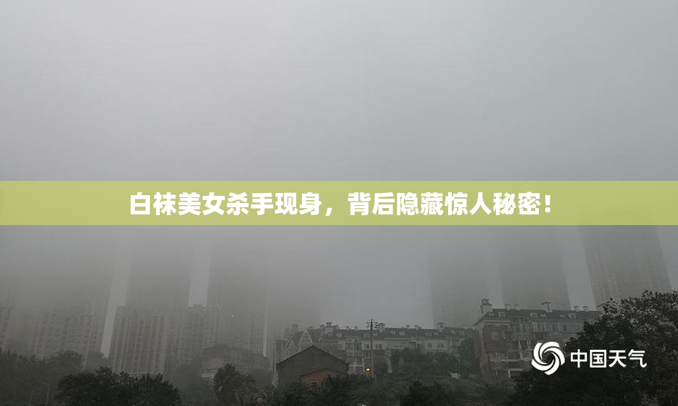 白袜美女杀手现身，背后隐藏惊人秘密！