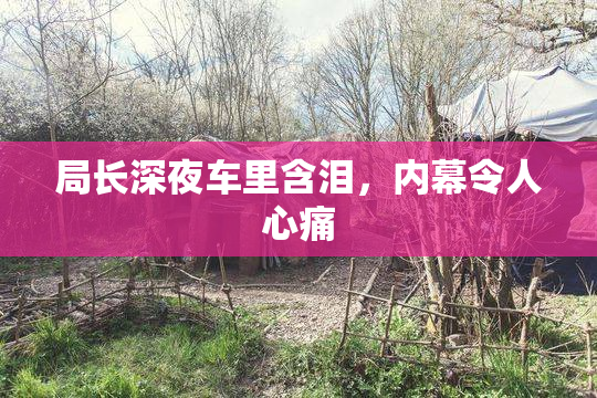 局长深夜车里含泪，内幕令人心痛