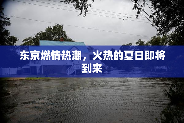东京燃情热潮，火热的夏日即将到来