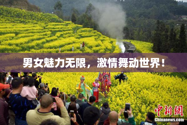 男女魅力无限，激情舞动世界！