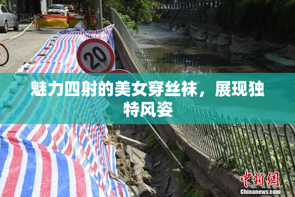 魅力四射的美女穿丝袜，展现独特风姿