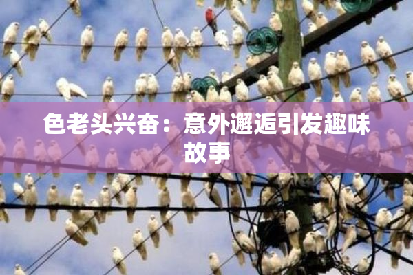 色老头兴奋：意外邂逅引发趣味故事