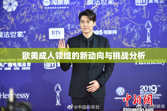 欧美成人领域的新动向与挑战分析