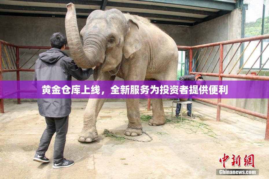 黄金仓库上线，全新服务为投资者提供便利