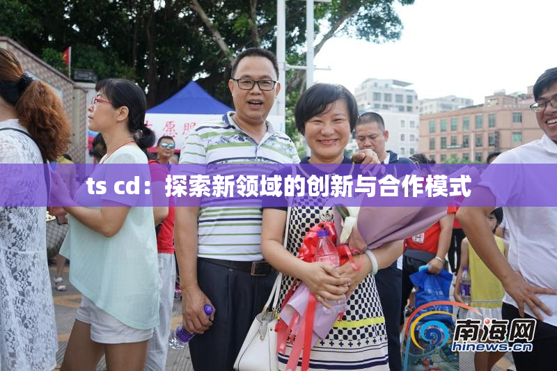 ts cd：探索新领域的创新与合作模式