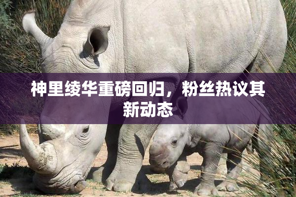 神里绫华重磅回归，粉丝热议其新动态