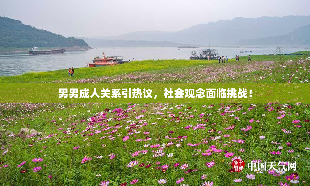 男男成人关系引热议，社会观念面临挑战！
