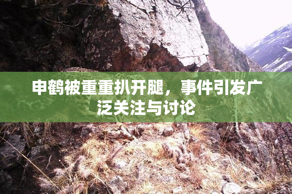 申鹤被重重扒开腿，事件引发广泛关注与讨论