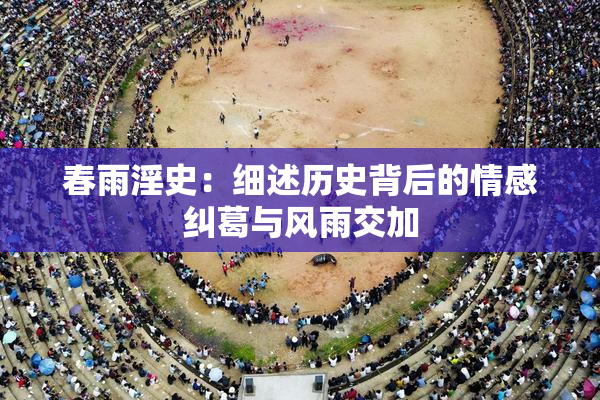 春雨淫史：细述历史背后的情感纠葛与风雨交加