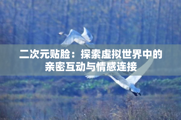 二次元贴脸：探索虚拟世界中的亲密互动与情感连接