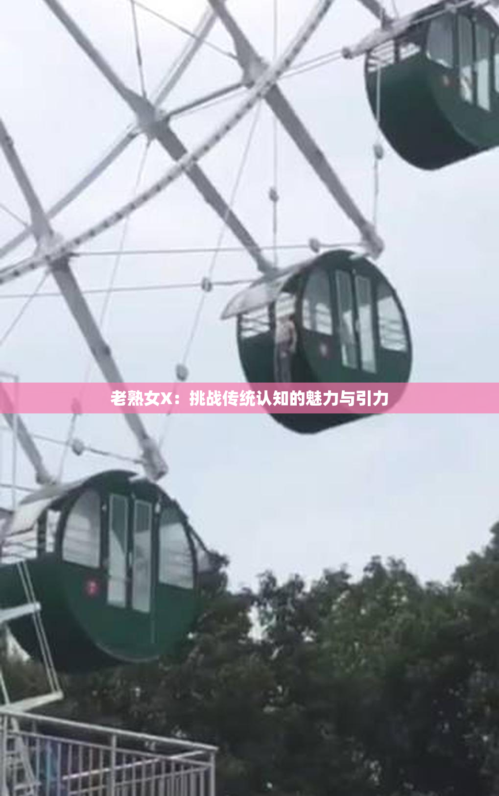 老熟女X：挑战传统认知的魅力与引力
