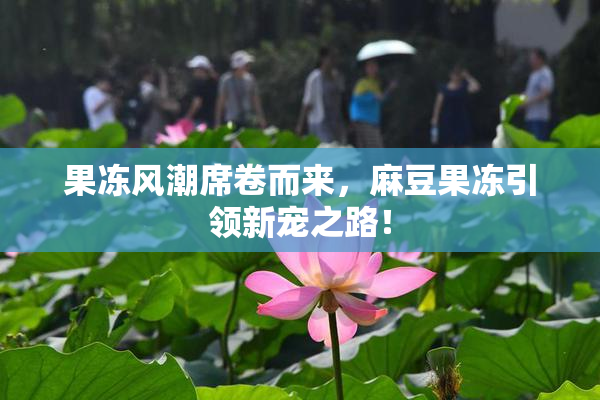 果冻风潮席卷而来，麻豆果冻引领新宠之路！