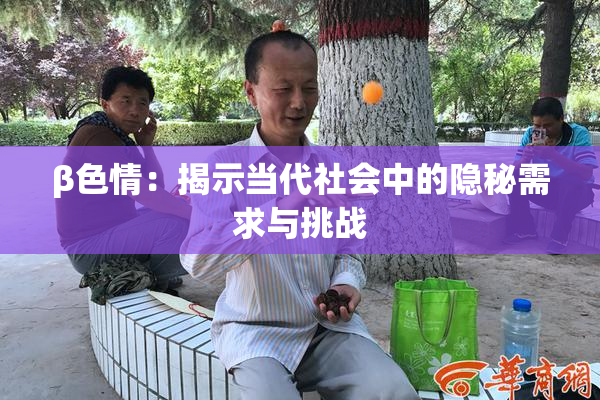 β色情：揭示当代社会中的隐秘需求与挑战