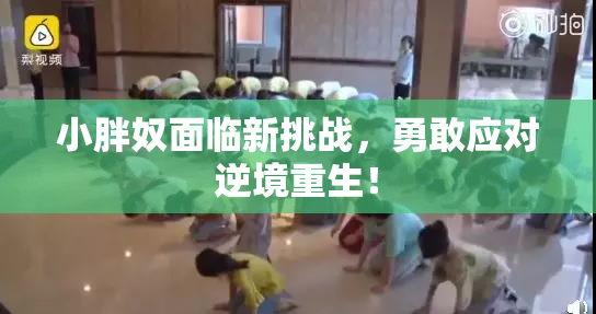 小胖奴面临新挑战，勇敢应对逆境重生！