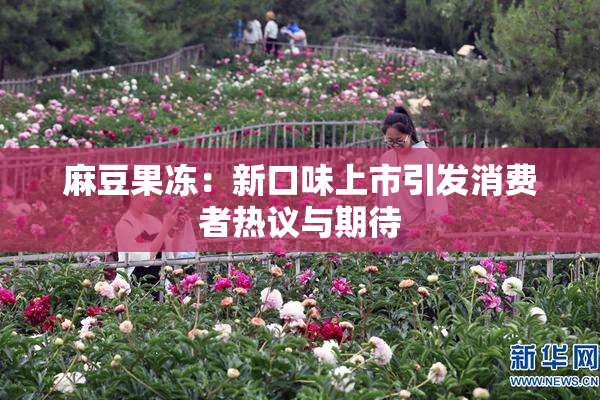 麻豆果冻：新口味上市引发消费者热议与期待