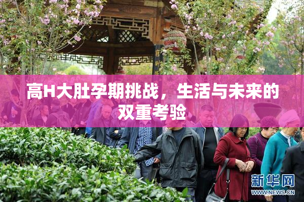 高H大肚孕期挑战，生活与未来的双重考验