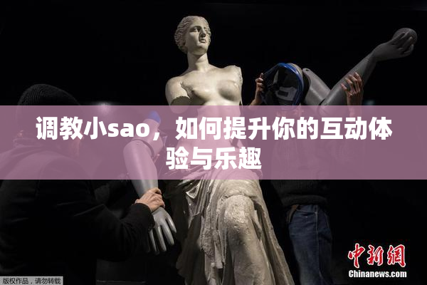 调教小sao，如何提升你的互动体验与乐趣