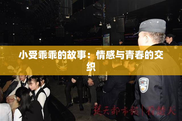 小受乖乖的故事：情感与青春的交织
