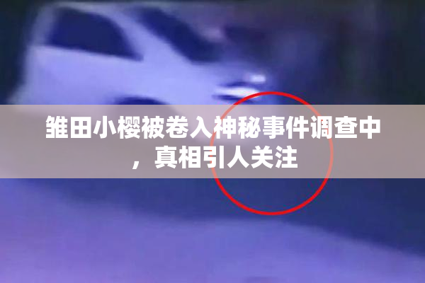 雏田小樱被卷入神秘事件调查中，真相引人关注