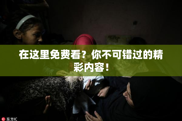 在这里免费看？你不可错过的精彩内容！