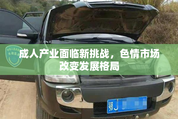 成人产业面临新挑战，色情市场改变发展格局