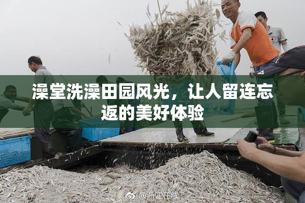 澡堂洗澡田园风光，让人留连忘返的美好体验