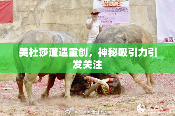 美杜莎遭遇重创，神秘吸引力引发关注