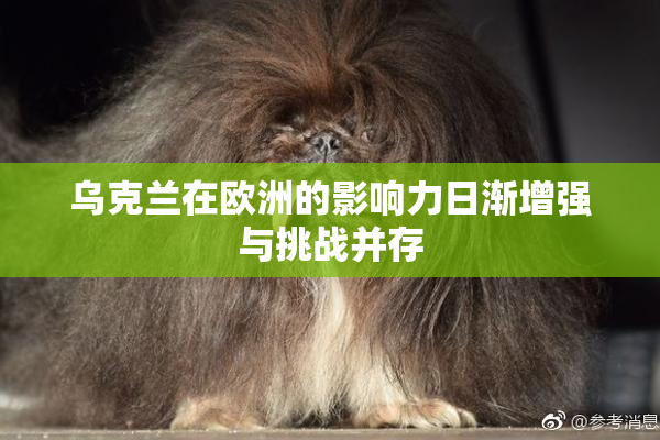 乌克兰在欧洲的影响力日渐增强与挑战并存