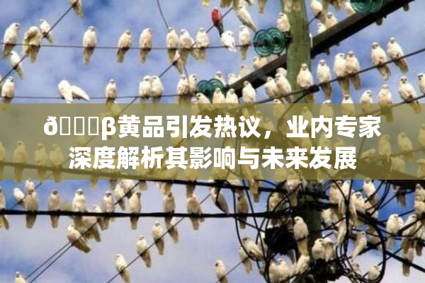 🔞β黄品引发热议，业内专家深度解析其影响与未来发展