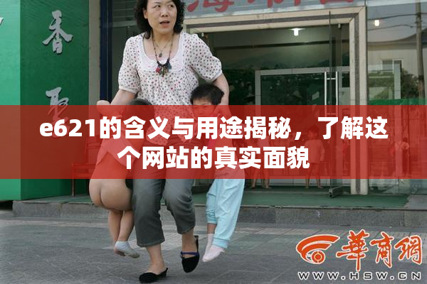 e621的含义与用途揭秘，了解这个网站的真实面貌