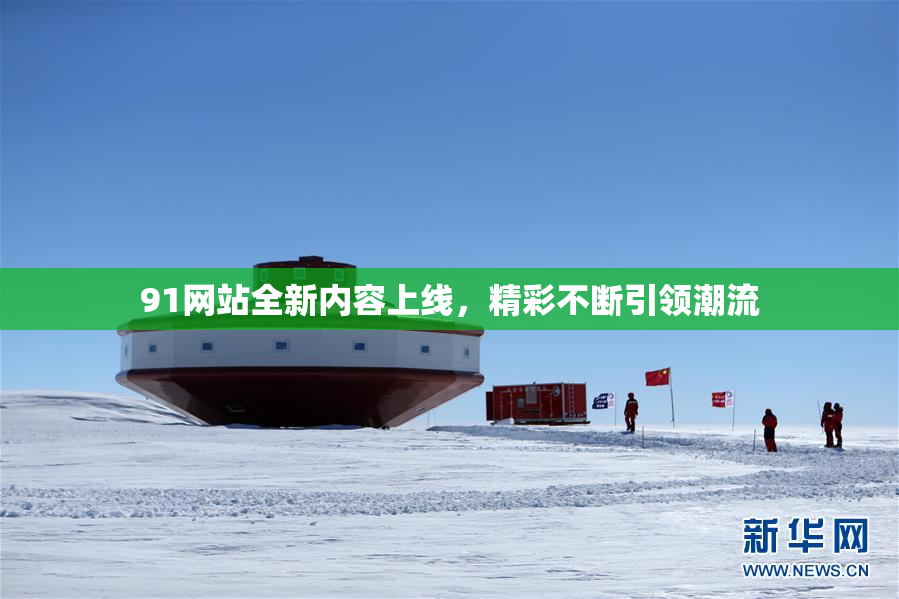 91网站全新内容上线，精彩不断引领潮流