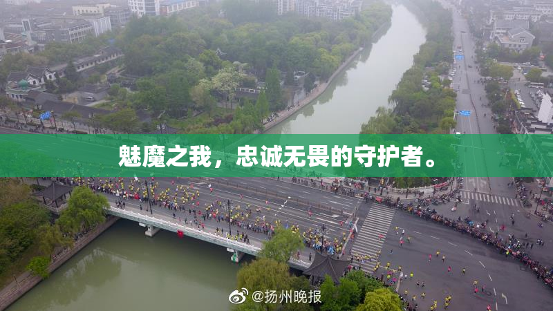 魅魔之我，忠诚无畏的守护者。