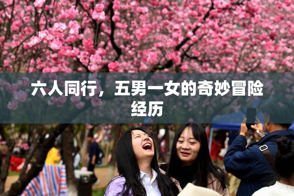 六人同行，五男一女的奇妙冒险经历