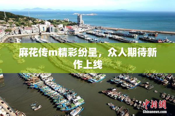 麻花传m精彩纷呈，众人期待新作上线