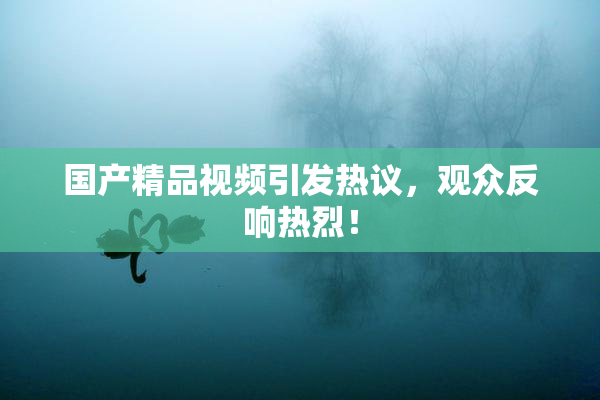国产精品视频引发热议，观众反响热烈！