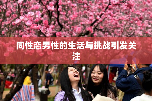 同性恋男性的生活与挑战引发关注