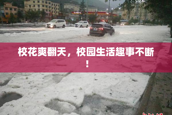 校花爽翻天，校园生活趣事不断！