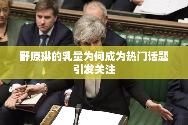 野原琳的乳量为何成为热门话题引发关注