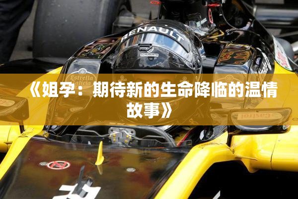 《姐孕：期待新的生命降临的温情故事》