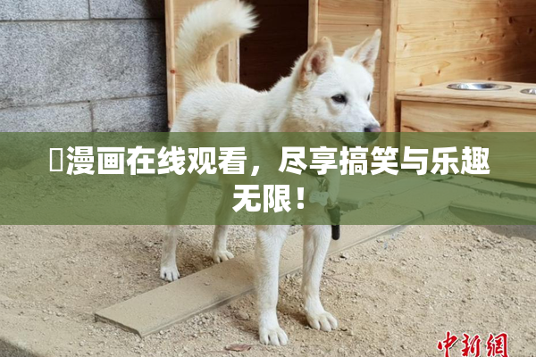 囧漫画在线观看，尽享搞笑与乐趣无限！