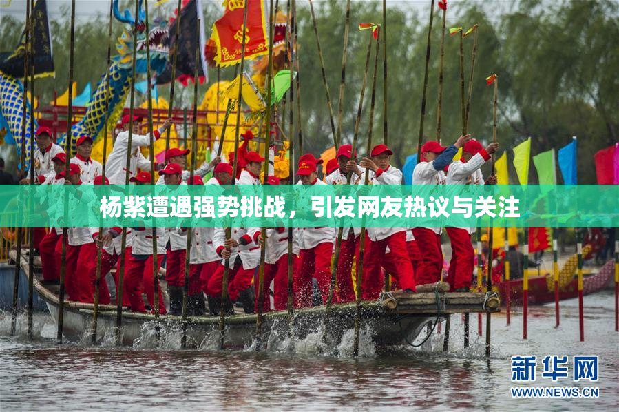 杨紫遭遇强势挑战，引发网友热议与关注