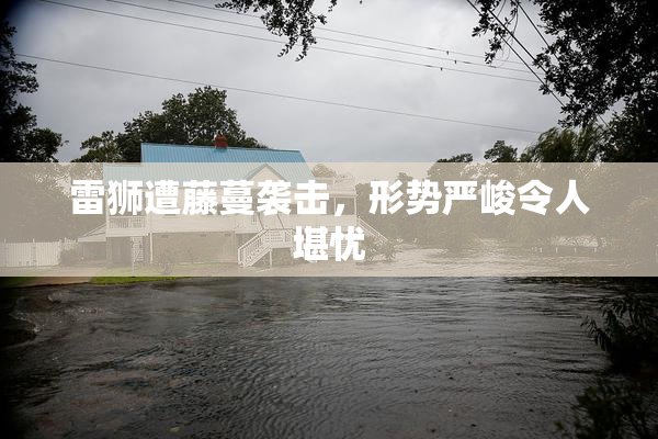 雷狮遭藤蔓袭击，形势严峻令人堪忧