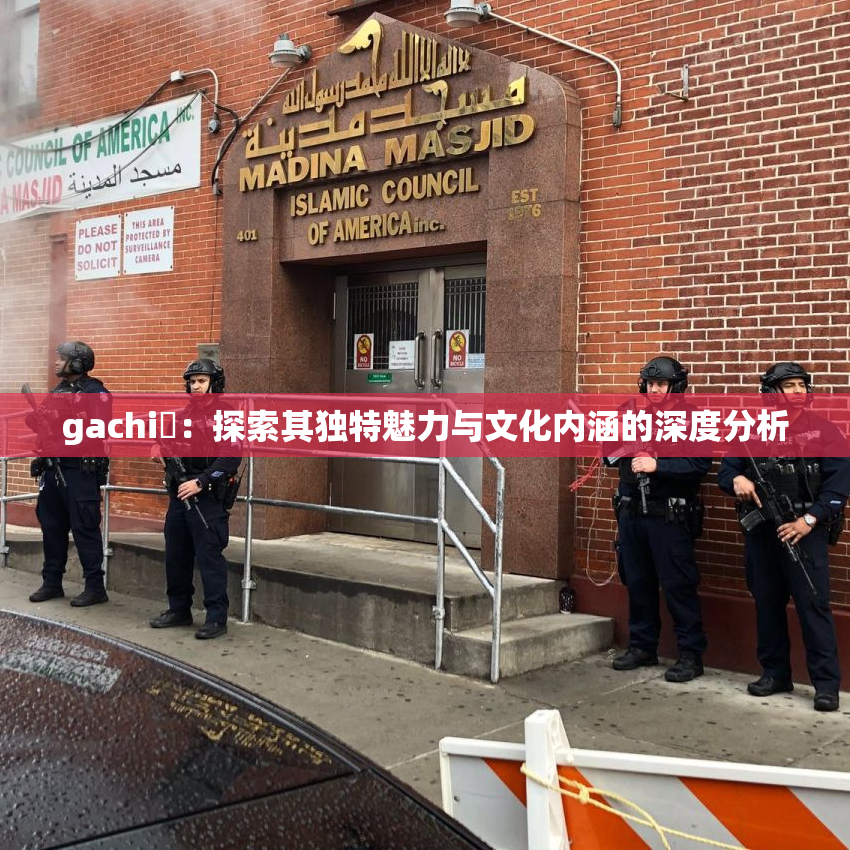 gachi籣：探索其独特魅力与文化内涵的深度分析