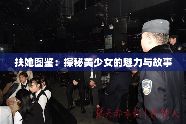 扶她图鉴：探秘美少女的魅力与故事