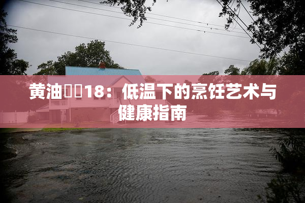 黄油❌‌18：低温下的烹饪艺术与健康指南
