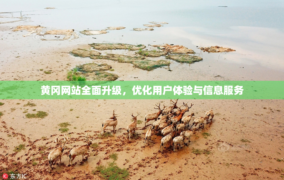 黄冈网站全面升级，优化用户体验与信息服务