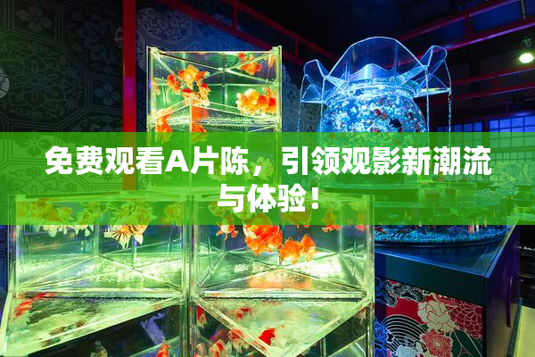 免费观看A片陈，引领观影新潮流与体验！