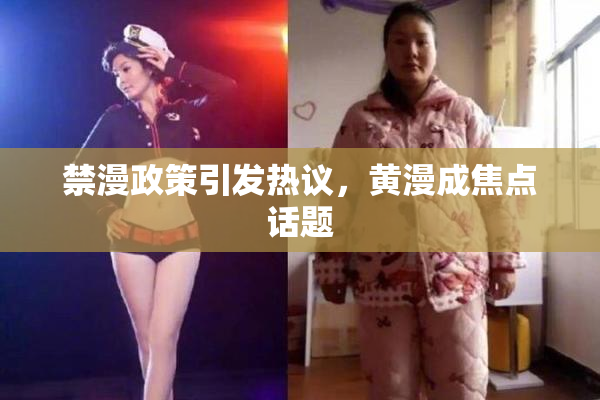 禁漫政策引发热议，黄漫成焦点话题