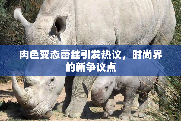 肉色变态蕾丝引发热议，时尚界的新争议点
